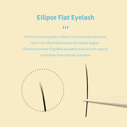 GLAMLASH Matte Ellipse Flat Eyelash Extensions Individual